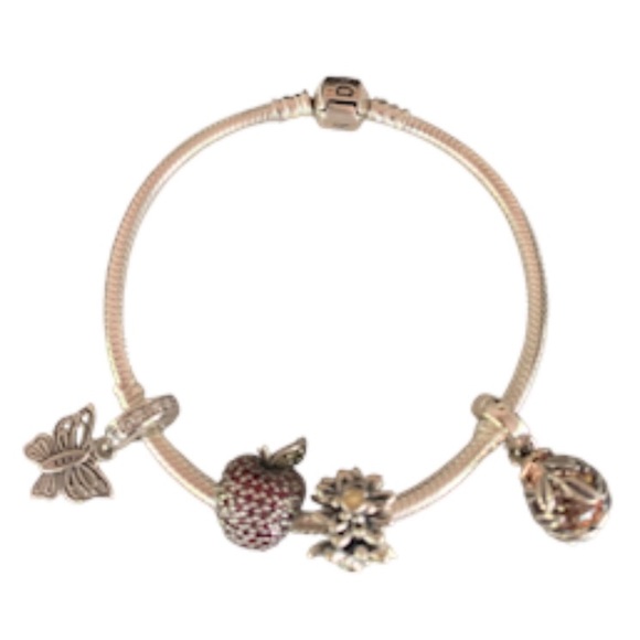 Pandora Snake Chain Silver Bracelet w/ 4 Pandora Charms - Picture 4 of 9